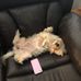 Judy Dugger - Facebook