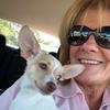 Judy E - @judyeasterling68 - TikTok