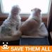 Judy Easterling - Facebook
