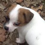 Judy Edgar - @judysfunnyfarm83 - Instagram
