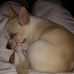 Judy Eldridge - Facebook