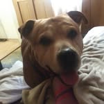 Judy Ellinger - @judy.ellinger.1 - Instagram