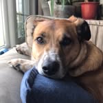 Judy Eng - @judyengrothstein - Instagram