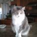 Judy Enlow - Facebook