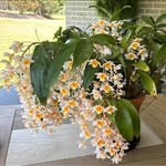 Judy Ernst - @judyernst2081 - Instagram