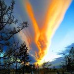 Judy Ervin Tessmann Burton - @judyburton57 - Instagram