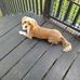 Judy Ethridge - Facebook