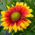 Judy Ethridge - Facebook
