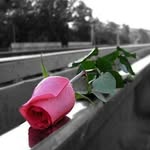 judy - @judy.faris.1 - Instagram