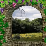 Judy Farmer - @judy.farmer.10004 - Instagram