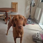 Judy Farmer - @judyfarmer185 - Instagram