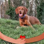 Judy Farmer - @judyfarmer6539 - Instagram