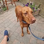Judy Farmer - @polofarm29 - Instagram