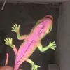 I’m not doing that - @judyfelder961 - TikTok