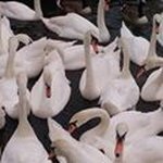 Judy Ferris - @judyf1316 - Instagram