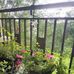 Judy Ferris - Facebook