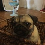 Judy Flaherty - @judethejudy - Instagram