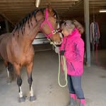 Judy Flaherty - @judyequinelover - Instagram