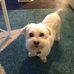 Judith Anne Flavell - Facebook