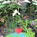 Judy Fleury - Facebook