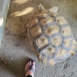 Judy Flora - @jflora73 - Instagram