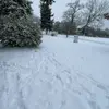 Judy Flora - @judy.flora54 - TikTok