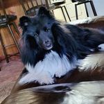Judy Foreman - @judy.foreman.92 - Instagram