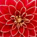 Judy Forrest - Facebook