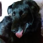 Judy Fraley - @hollyannebear - Instagram