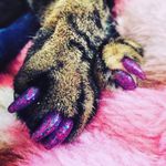 Courtney Knight - @judyfuture - Instagram