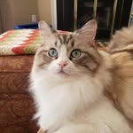 Judy Galbraith Bailey - @judy.g.bailey - Instagram