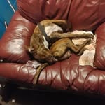 Judy Angel Gary - @judygary323 - Instagram