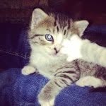 Judy Geiser - @jlgeiser - Instagram