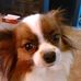 Judy Gerhardt - Facebook