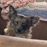 Judy Gerhardt - @judygerhardt - Instagram