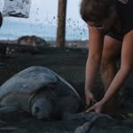 Judith Glaser - @judiths_turtlenews - Instagram