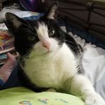 Judy Glaser - @judy.glaser.370 - Instagram