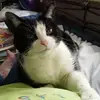 Judy Glaser - @judy.glaser - TikTok