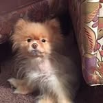 Judith Goolsby - @scout407 - Instagram