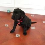 Judi Ross-Gower - @judirossg - Instagram