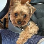 Judy Grainger - @graingerjudy - Instagram