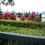 Judith Greenbaum - @judithgreenbaum - Instagram