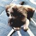 Judy Gregerson Ashley - Facebook