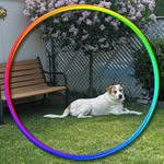 Judy Gresham Becker - @judy.becker.522 - Instagram