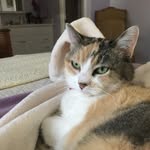Judy Smyth Gresham - @smythgresham - Instagram