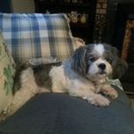 Judy Dominick Grimsley - @grimsleyjudy - Instagram