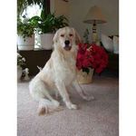 Judy Grubb - @judy.grubb.18 - Instagram