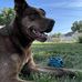 Judy Grubb - Facebook