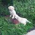 Judy Grubb - Facebook