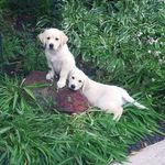 Judy Grubb - @53jag83 - Instagram
